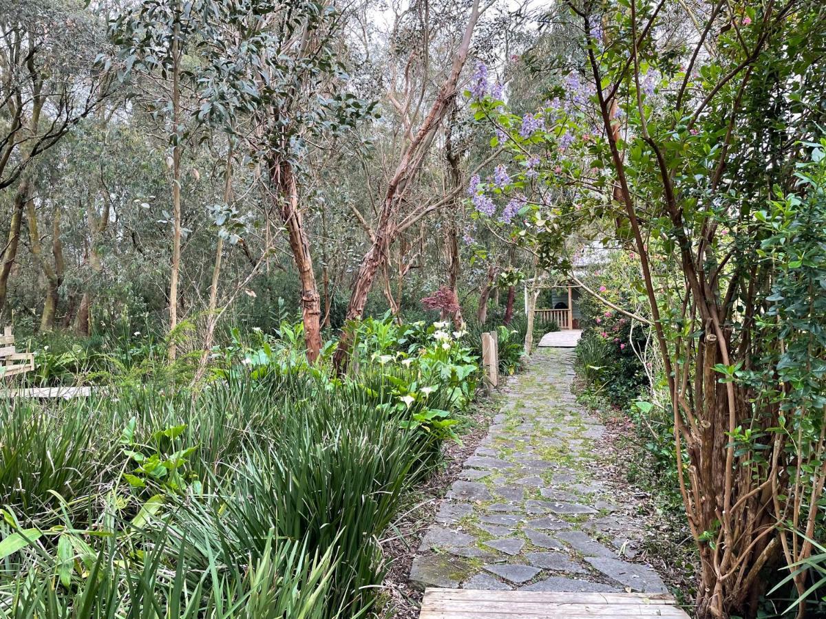 פוסטר Tindoona Cottages מראה חיצוני תמונה