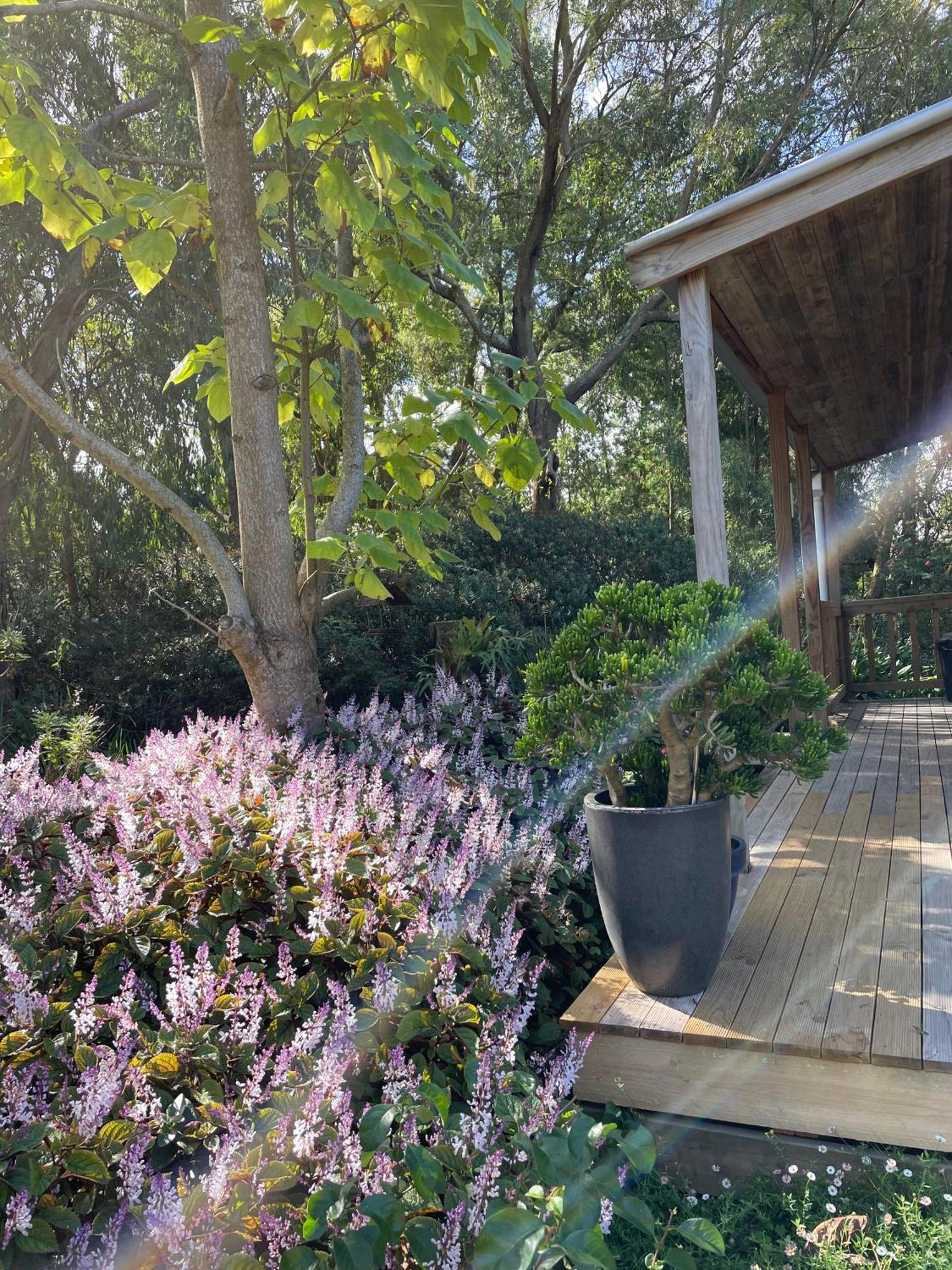פוסטר Tindoona Cottages מראה חיצוני תמונה
